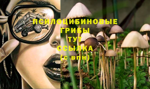 не бодяженный Баксан